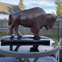 The Classic Brown Buffalo