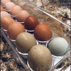 Fresh Organic Eggs