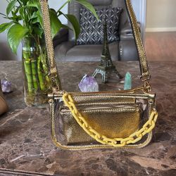 Gold Transparent Purse 