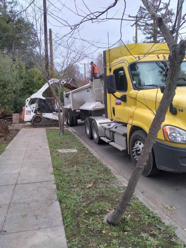 Bobcat Hauling