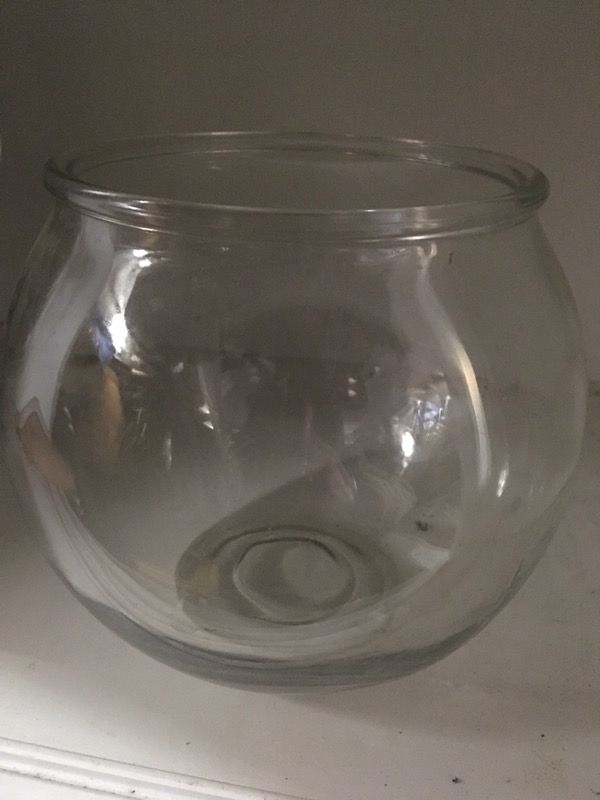 Fish bowl