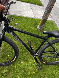 Throne 29er