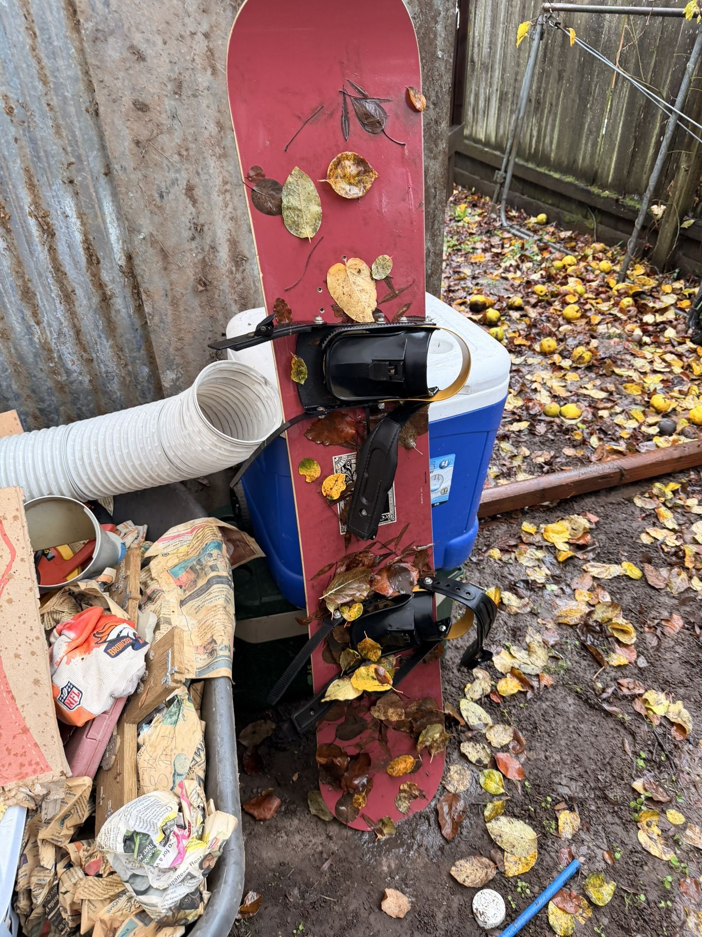 Burton Boards 75 For Both