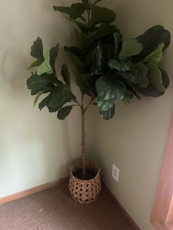 Artificial Fig Tree & Basket