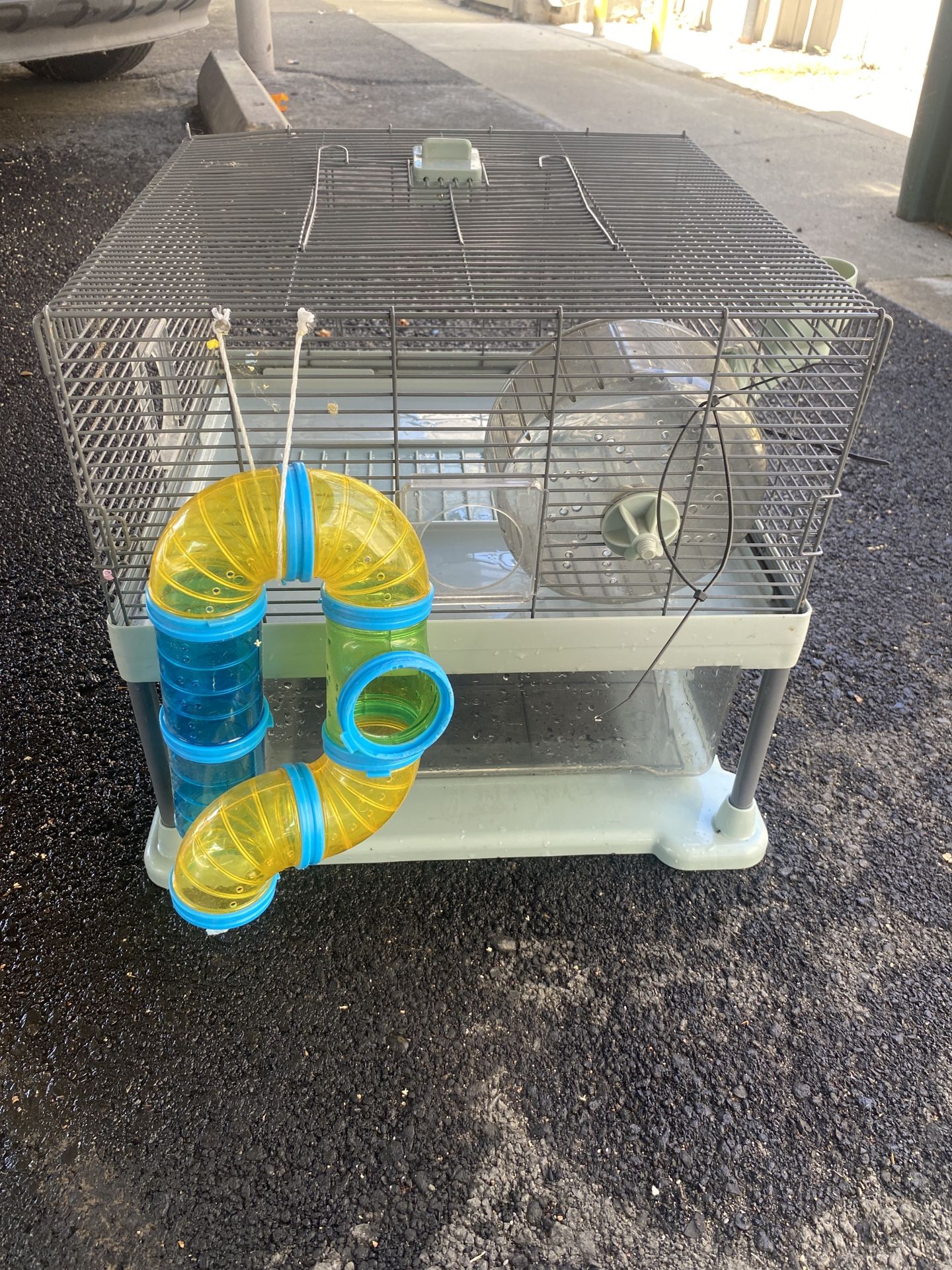 Hamster Cel
