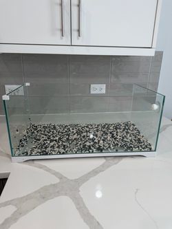 10 Gallon Glass Fish Tank