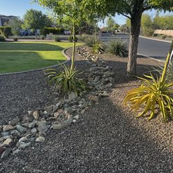 Free Boulders, Rock, Cactus, plants, stones!