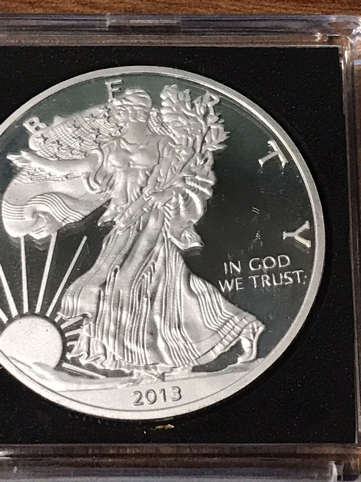 2013 American eagle coin