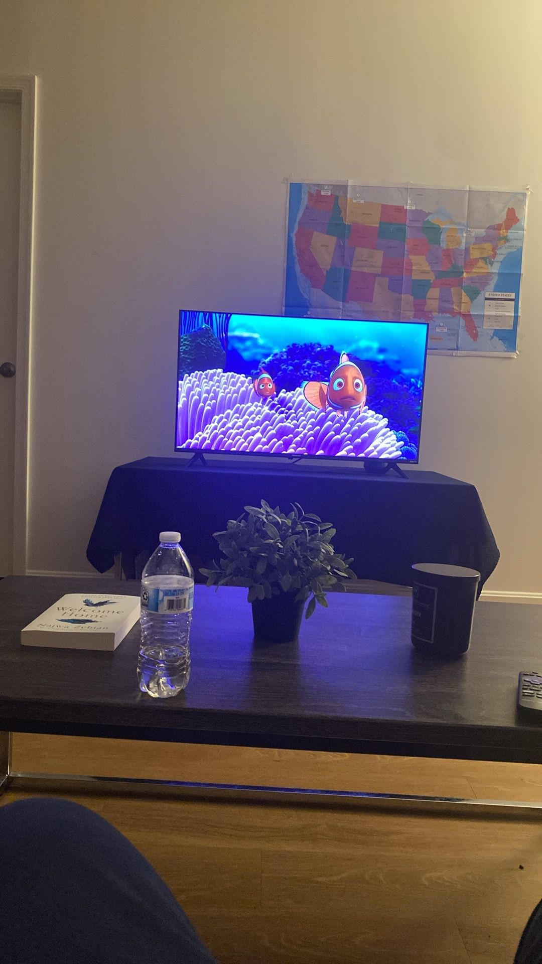 Roku Tv