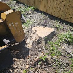 Stump Grinding 