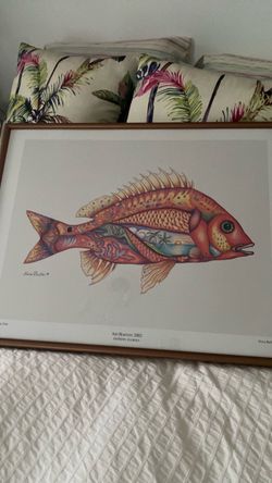 Colorful fish print