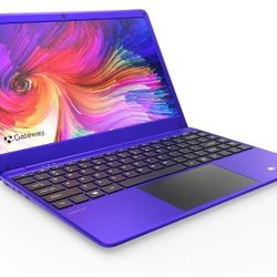 Gateway Laptop Windows 10 64GB
