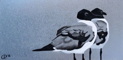 The Seagulls