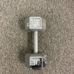 Single 30 Lbs. Dumbbell