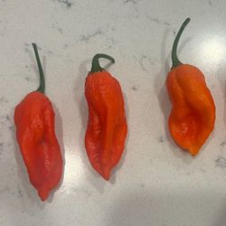 Ghost Peppers 