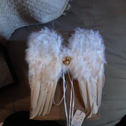 Baby Angel Wings