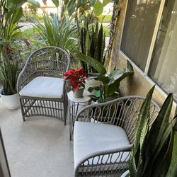 Patio Wicher Chairs