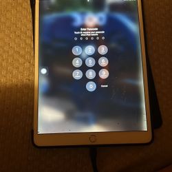 iPad Pro
