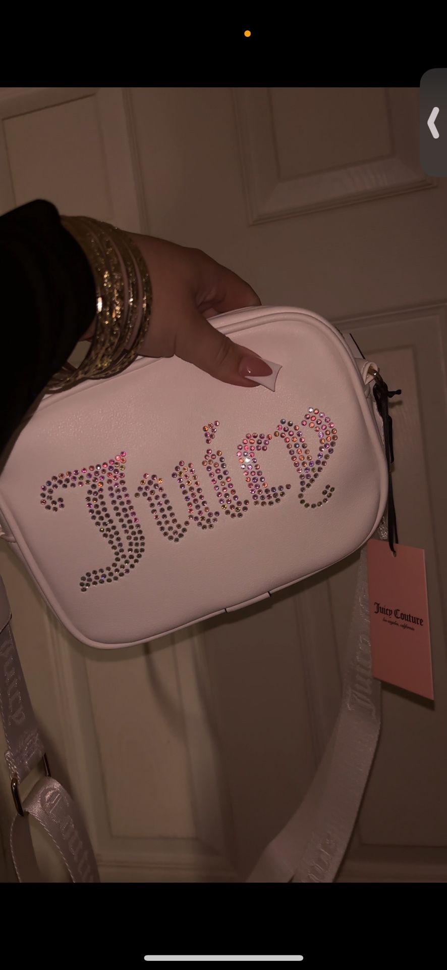 Juicy Couture Purse 