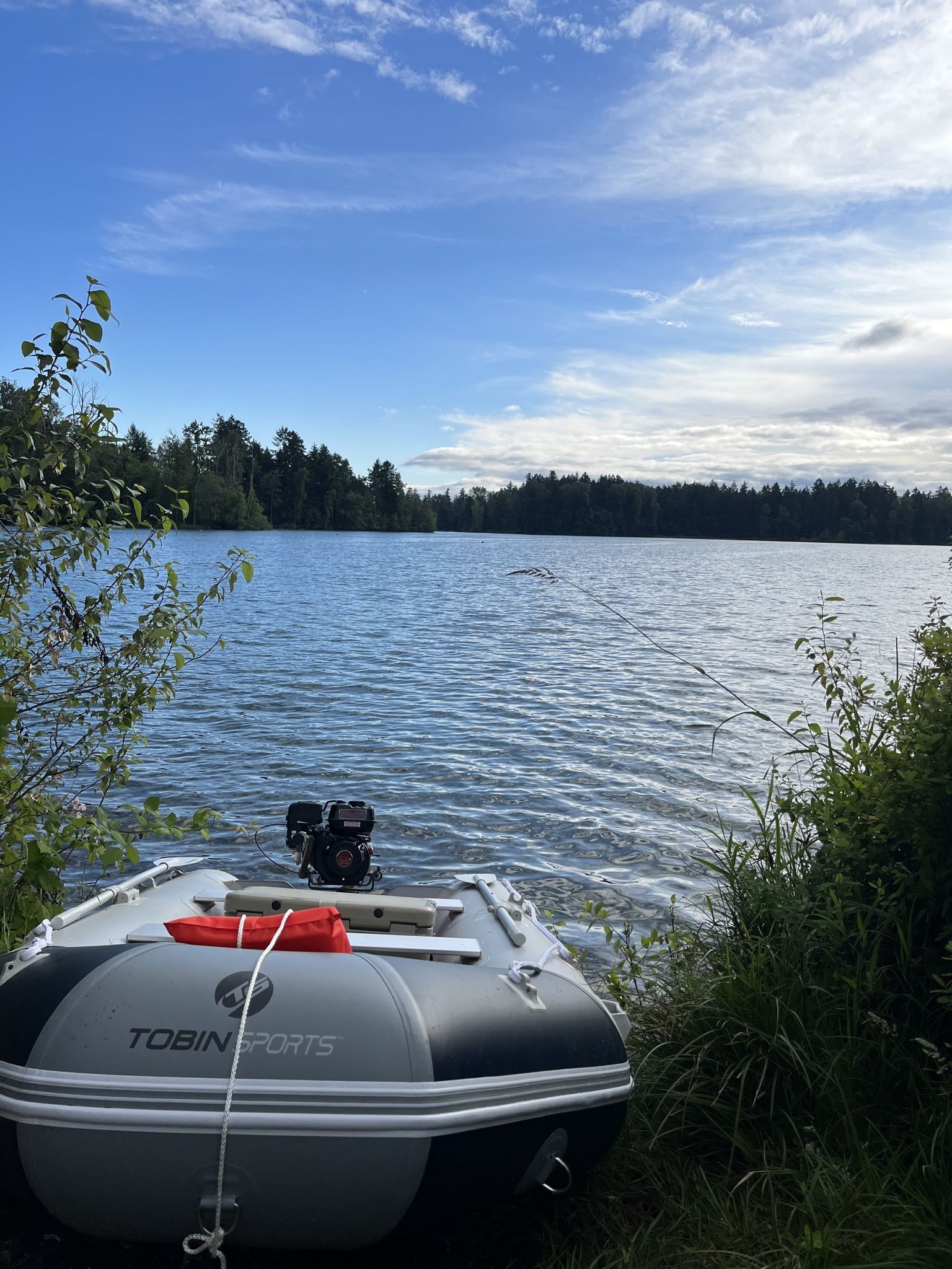 Mud motor 212cc Swamp Boat Motor