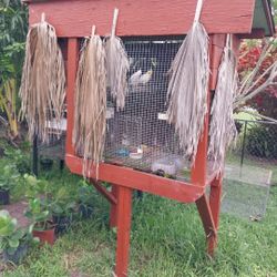 Cages For Sale