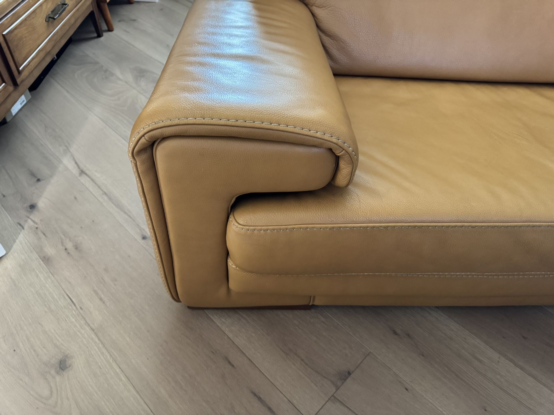 Natuzzi Leather Couch