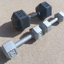 25lb Weight Dumbbell and 2 10lbs Dumbbells 45lbs total