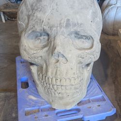 Large Concrete Skull