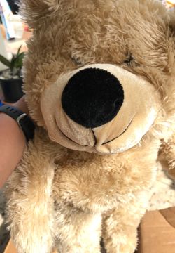 Teddy bear stuff animal