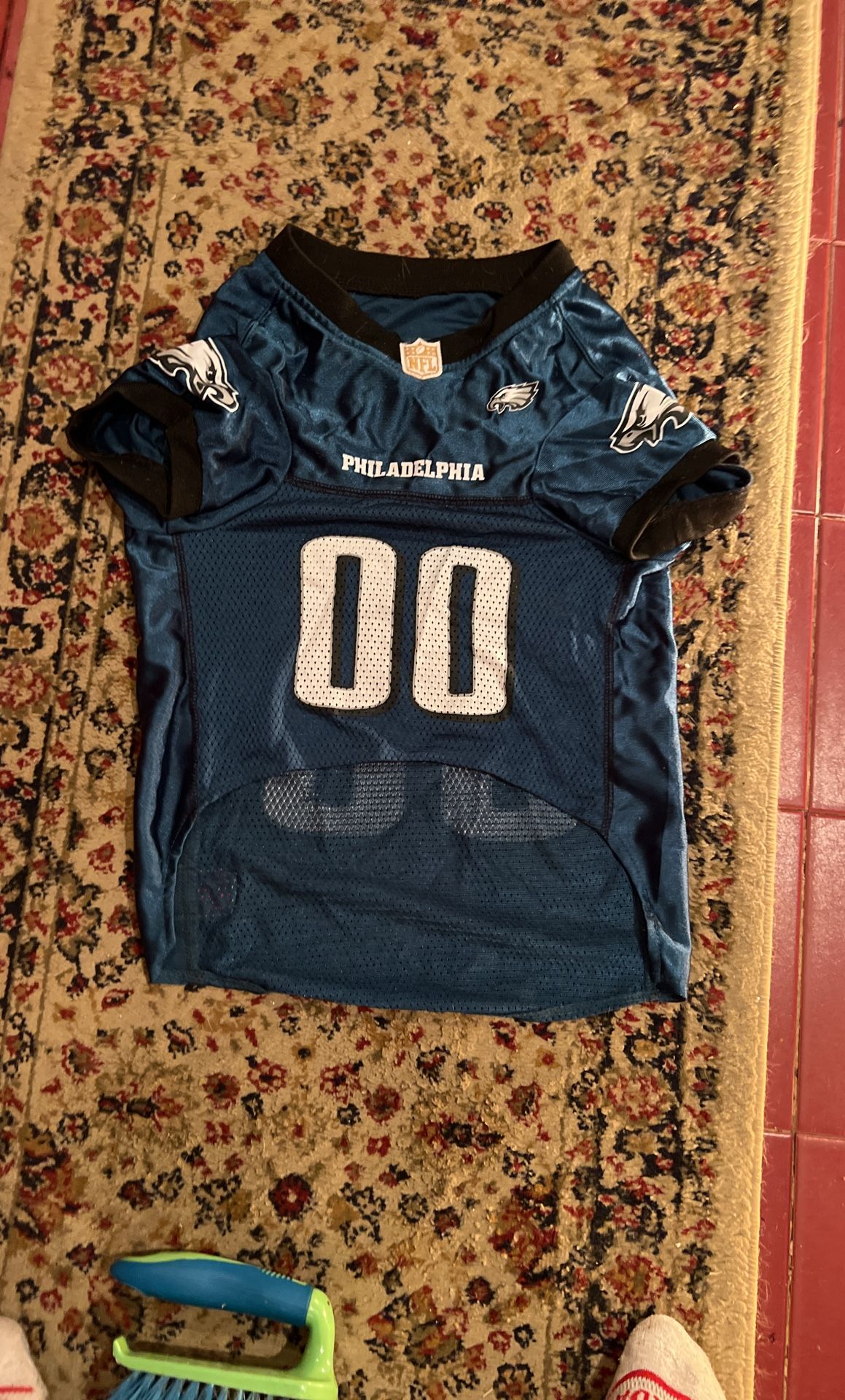 Dog eagles jersey
