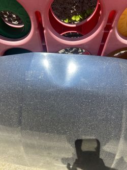 2007 Nissan Versa Hood. 