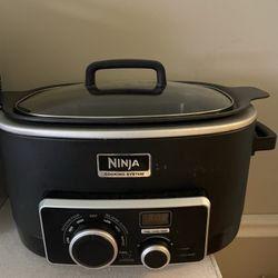 Ninja Food Cooker