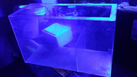 40g acrylic sump
