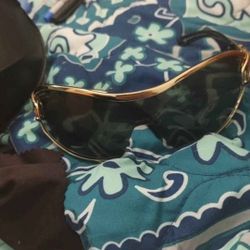 Gucci  Sunglasses 