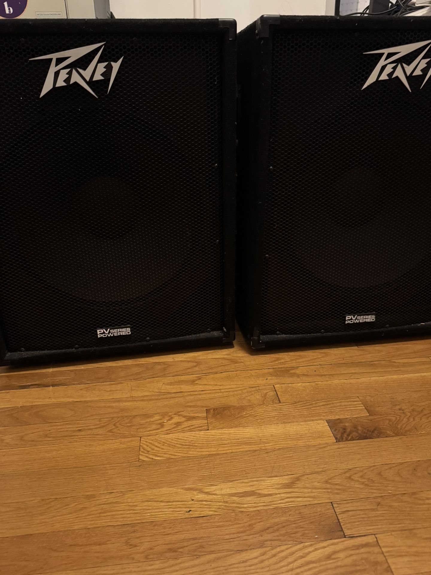 Two (2) Peavey Commercial Speakers