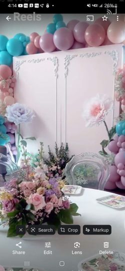 Pink Backdrop panel (3 Panels) Coquette