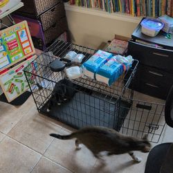 Dog Crate(Foldable) With Extra Goodies! *MAKEOFFER*