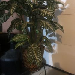Artificial Plant 