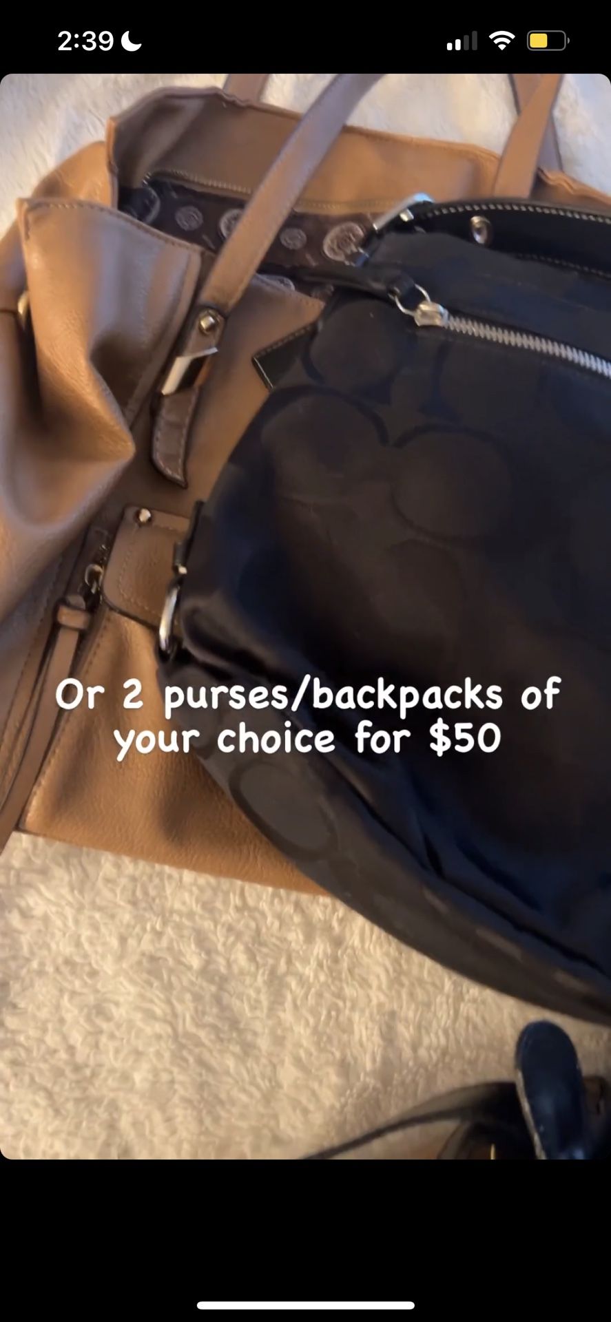 Purses & Backpacks