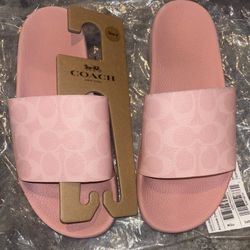 Pink Coach Slides 