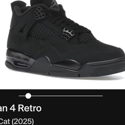 Air Jordan  Black cat