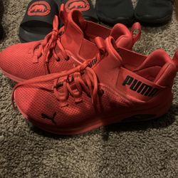 Pumas Shoes