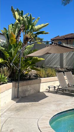 Coolaroo large backyard umbrella