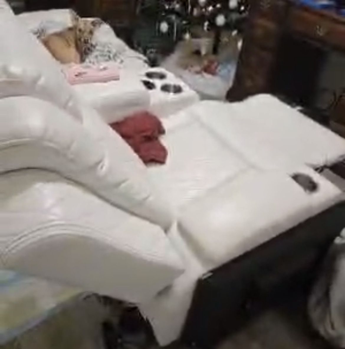 White Leather Couch
