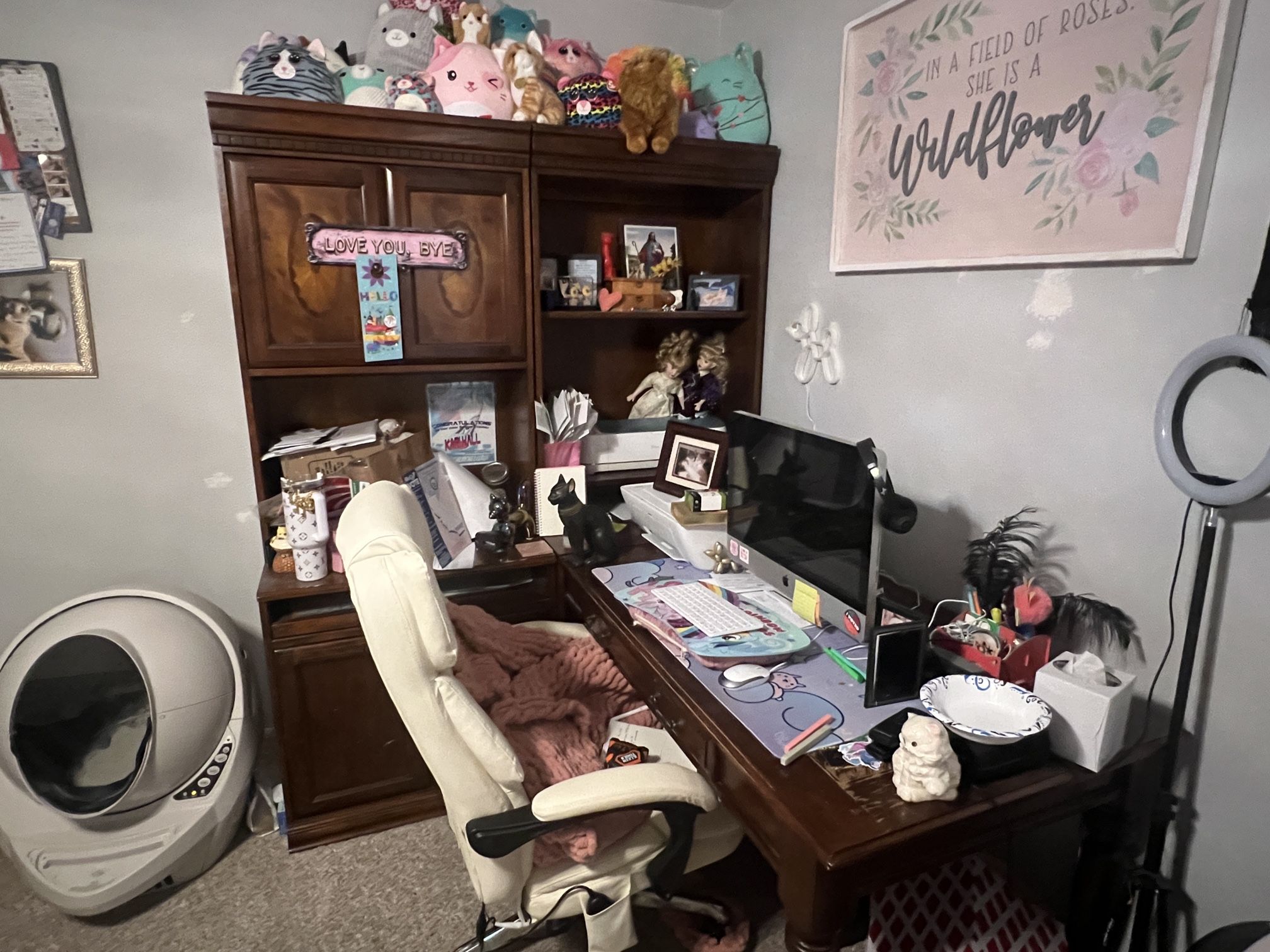 Huge Desk/bookcase Set