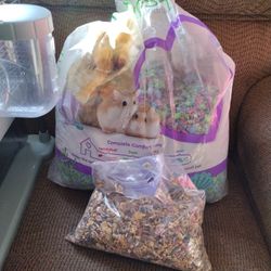 Hamster Cage And Items