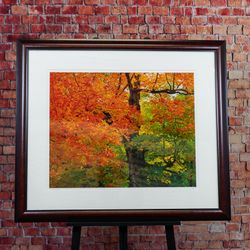 In Praise of Autumn by Doug Remien - Limited Edition Print - Delivery Available 