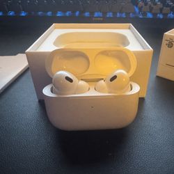 Apple Earphones 