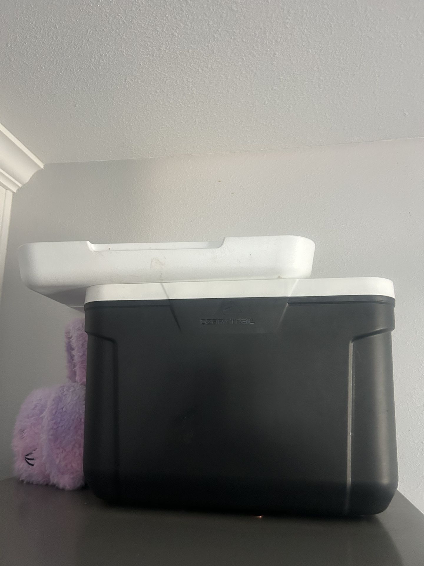 Cooler