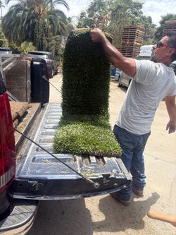 Fresh Sod Grass Roll